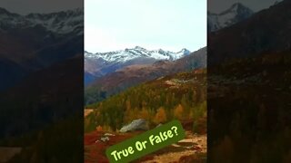 True Or False? Motivations to Change Your Mindset #shorts #motivation #success #mindset