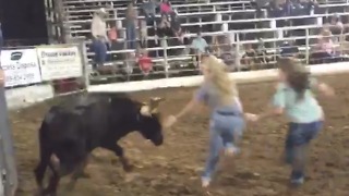 Bull vs. Group of People | What Could Possibly Go Wrong?