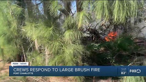 Port Charlotte Brush Fire Threatens Homes