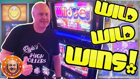 🌸MAX BET WILD WILD WINS on Wild 70's Slot! 🌸 | Raja Slots