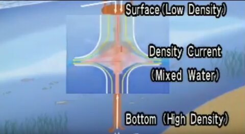 Oxygen Nanobubbles for Red Tide and Algae Blooms