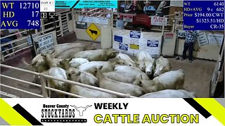 6/6/2023 - Beaver County Stockyards Livestock Auction