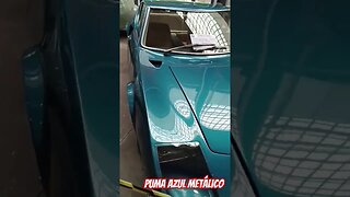 Puma e um Fusca com carretinha