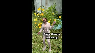 Flowers blooming