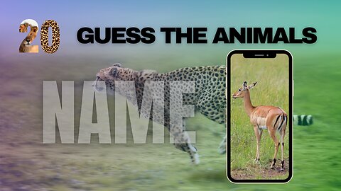 Animal Charades: Can You Guess the Creatures