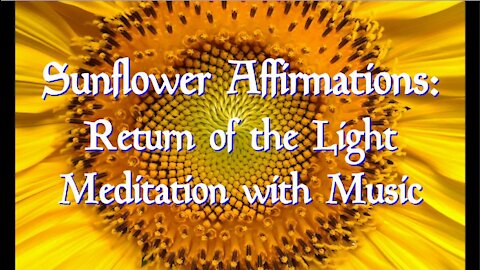 48 - Sunflower Affirmations | Return of the Light | Meditation with Music