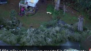 Tree falls on home during storm in Citrus County