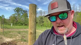 Learning from Failure: My Struggle to Build a Trellis for Muscadines Part 1