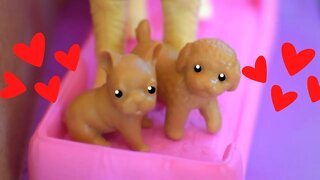 PUPPIES/OWIES -RADollz- #shorts