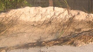 Indian Rocks Beach leaders call for beach renourishment