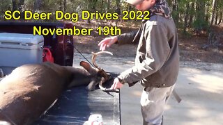 SC Deer Dog Drives 2022! Nov. 19th It's Cold with Lots of Deer!