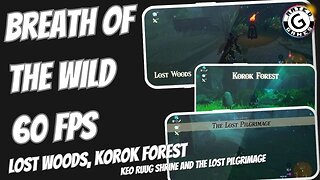 Breath of the Wild 60fps - Lost Woods, Korok Forest, Keo Ruug Shrine, The Lost Pilgrimage