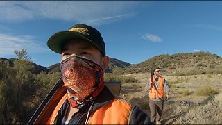 Mountain Quail Hunting in California