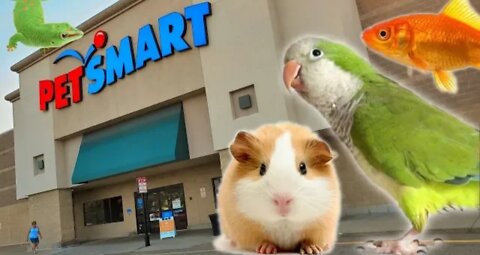 EXPLORING PETSMART! ANIMAL FRIENDS EVERYWHERE!