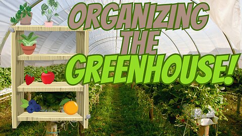 Greenhouse | Organizing and Fixing Uneven Flooring