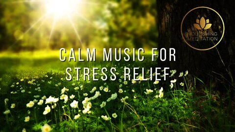 Calm Music for Stress Relief • Meditation Music, Sleep Music, Ambient Study Music