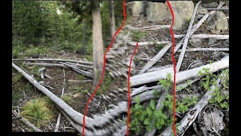 World Bigfoot Radio presents: MBP ~ CLOAKED BEING CAUGHT ON CAMERA!/Coloma Expedition 2020.