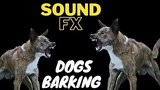 Aggressive Dog Barking Sound #shorts #youtube #viral #trending #doglover #dogbarking