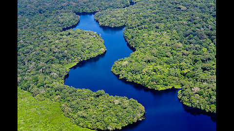 Amazon river