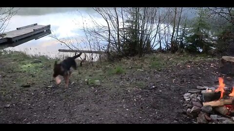 18 & Survival Expert Raises Puppy into Bushcraft Dog