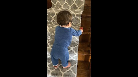 Very determined kid climbs the staircase…