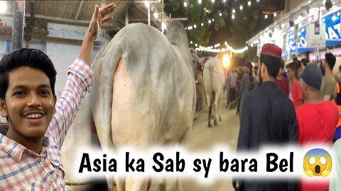 4 Cror ka Sibbi Mela Winner 2k23😱 || Asia ka sab sy Bara Bell || JDC Qurbani ❤️