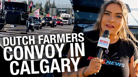 'Leave us alone, let us feed the world': Convoy from Calgary supports Dutch farmers
