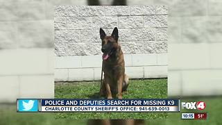 Police and Deputies Search for Missing K9