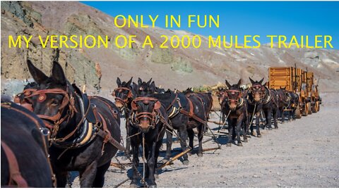 ONLY IN FUN 'MY VERSION OF A 2000 MULES TRAILER