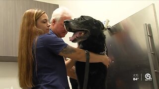 Operation Blue helps retired canines