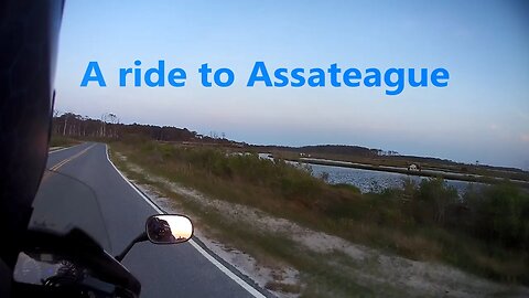 Motorcycle Ride to Assateague National Seashore, fishing, Horses, deer, and a rabbit.
