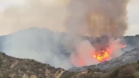 Devastating footage of Palisades Fire in California