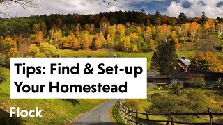 10 Tips on How to Find & Set-up Your Homestead — Ep. 003