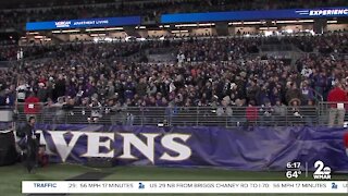 Good To Know: NFL's Fan of The Year