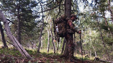 Elk archery opening weekend 2022 - Of fresh scat and mountain storms.