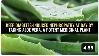 Keep diabetes-induced nephropathy at bay by taking aloe vera, a potent medicinal plant