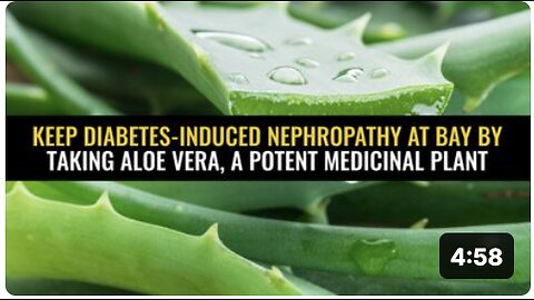 Keep diabetes-induced nephropathy at bay by taking aloe vera, a potent medicinal plant