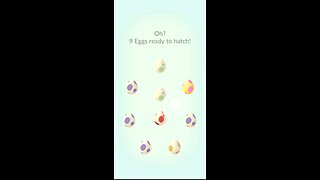 What Will Hatch From This Egg On April 2nd, 2024? Perfect IVS? Shiny? Exciting Surprise Await!