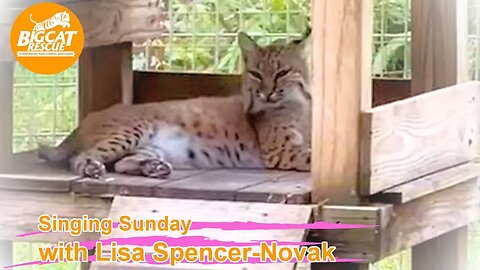 It’s Singing Sunday with Lisa Spencer-Novak and Carole Baskin at BigCatRescue.org 07 02 2023