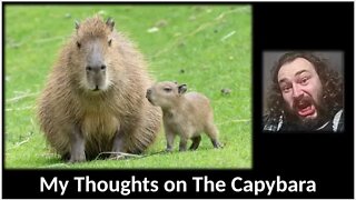 My Thoughts on The Capybara