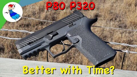 POLYMER 80 SIG P320 GRIP MODULE REVISIT // Does time make it a better product?