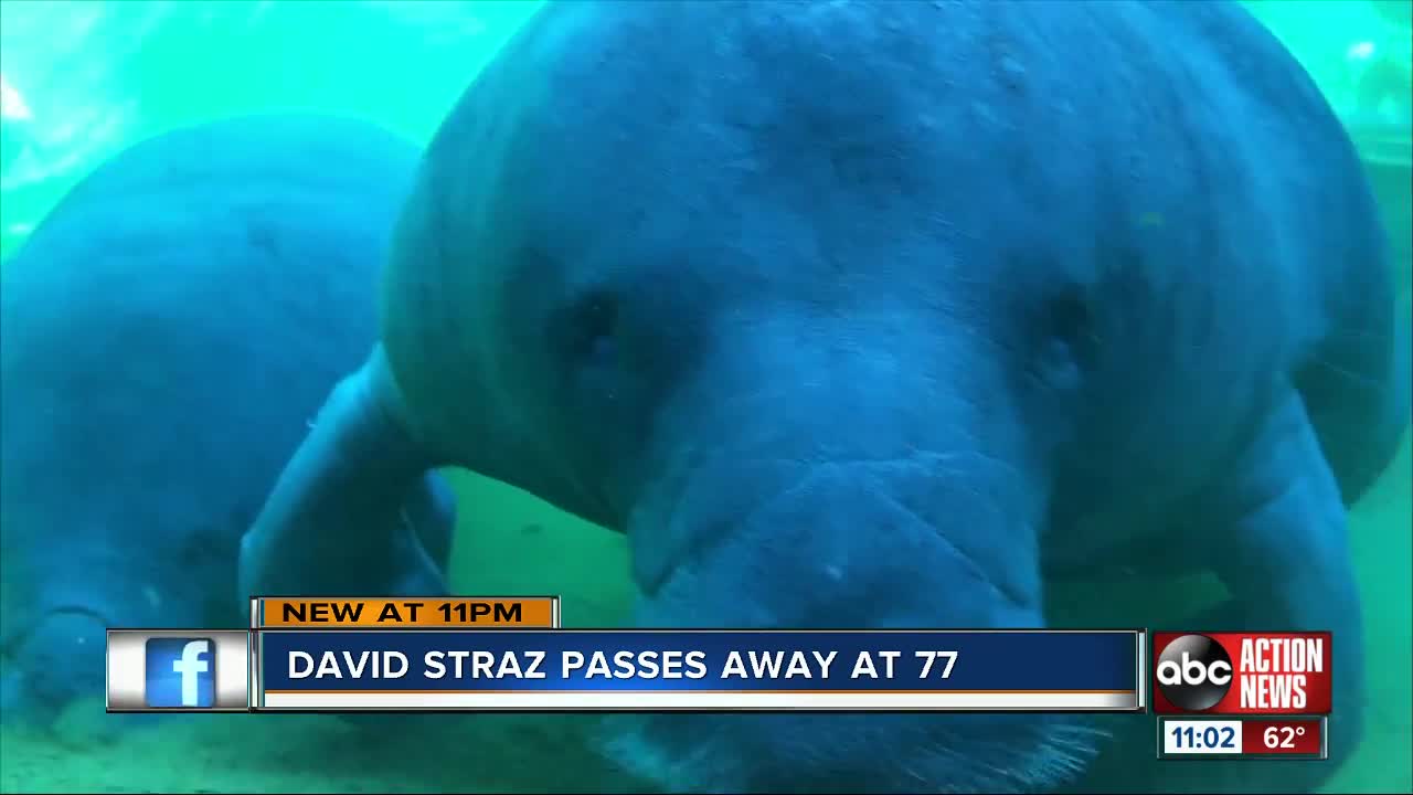 Friends say philanthropist David Straz had 'great impact' on Tampa Bay community