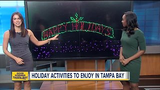 Holiday activities to enjoy in Tampa Bay