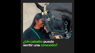 Conexión instantánea entre un caballo y una mujer