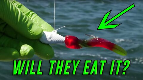 Gas Station CANDY FISHING CHALLENGE! (Saltwater Edition)