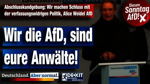 Abschlusskundgebung: Wir machen Schluss mit der verfassungswidrigen Politik! Alice Weidel AfD