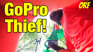 GoPro Thief (Red Line Protest outside White House, 6/8/24)