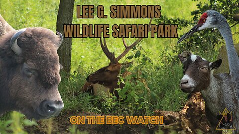 BEC Watch Entries: #28 Lee G. Simmons Wildlife Safari Park