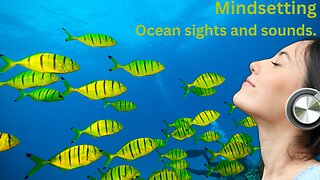 Mindsetting: Ocean sights and sounds. Relax with a montage of underwater sight and sound.