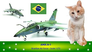 AMX A-1 ~ Brazilian Air Force